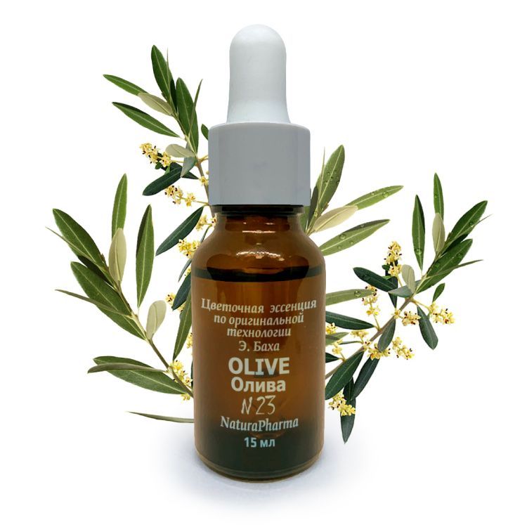 №23 Olive Олива Цветок восстановления – Цветочные эссенции Баха