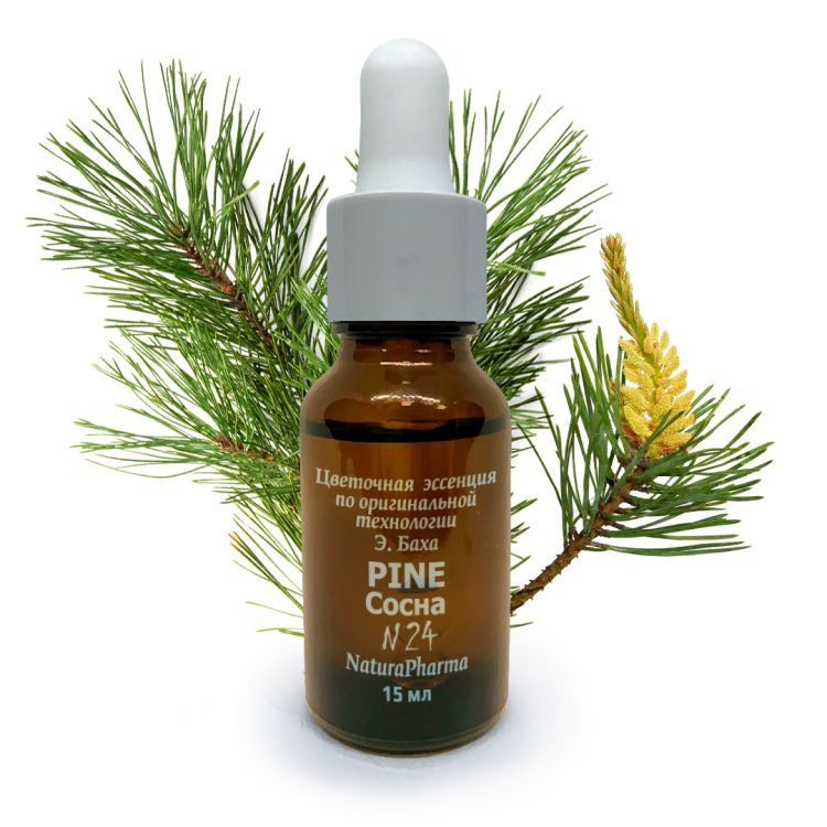 №24 Pine Сосна Цветок самоуважения - Цветочные эссенции Баха